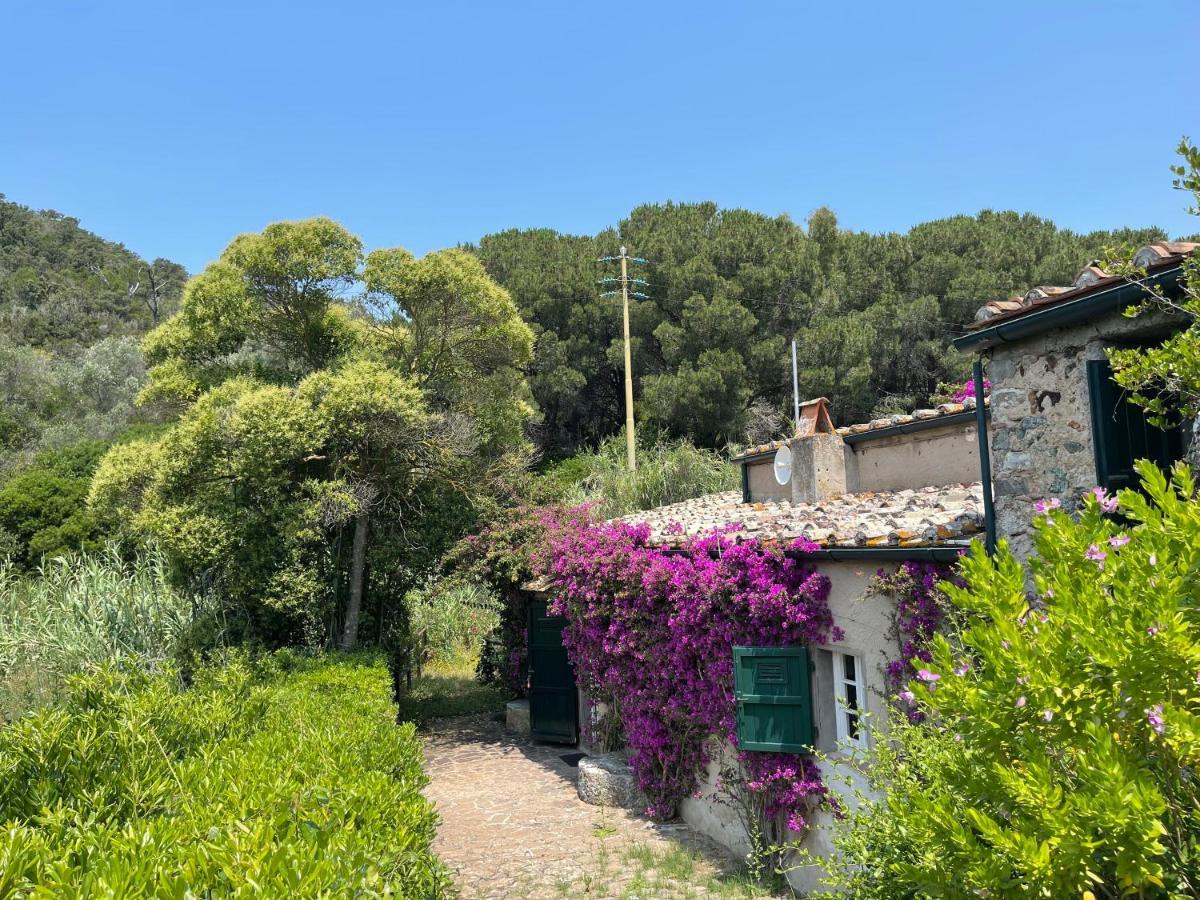 Villa The Old Mill With Private Garden And Torrent *